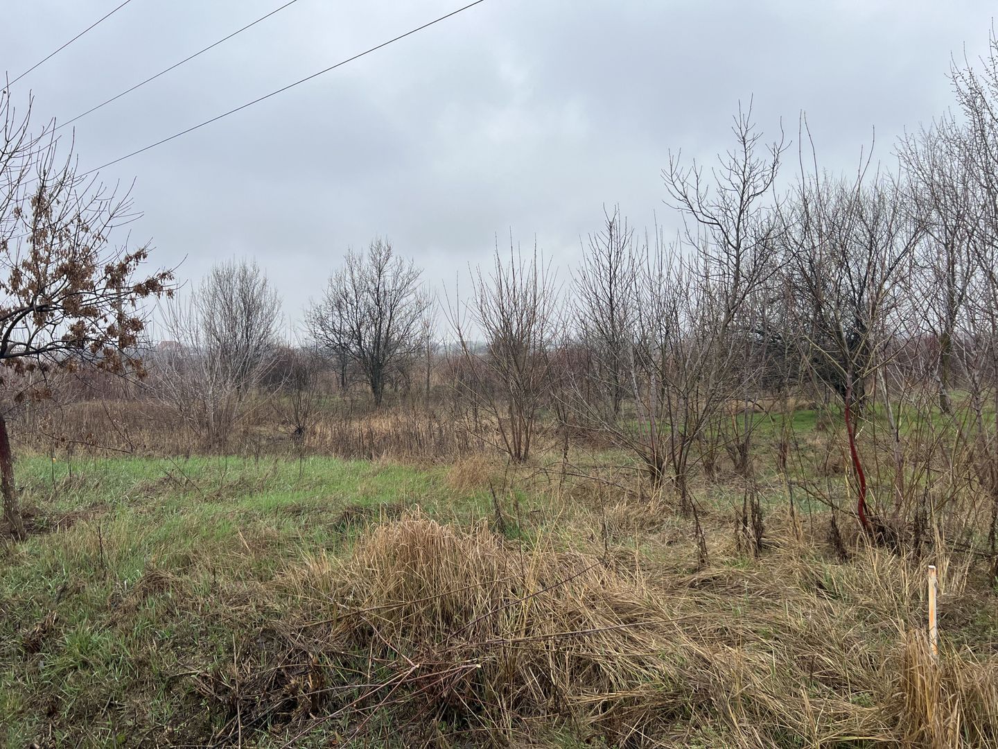 Teren la DN7 - ideal investitie (Benzinarie, spalatorie, hala, rezidential) - Poză 5