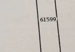 Teren agricol Bordea Grajduri Iasi - Poză 1