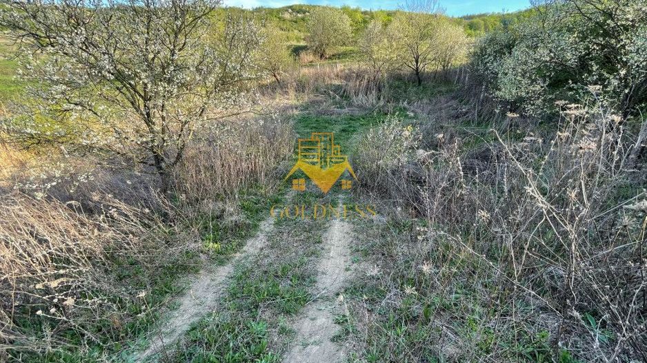 Tren Soporului Intravilan ,5500 MP Utilitati,  Oportunitate - Poză 10