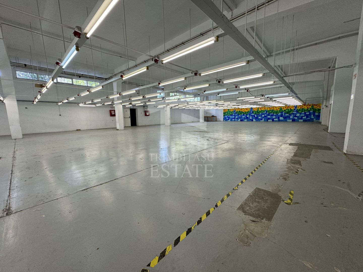 Hala productie P+1 si apartament de serviciu Navodari - c-tie beton - Poză 5