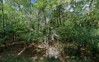 Teren 10,000mp Afumati | Padure | Soseaua Petrachioaia - Poză 6