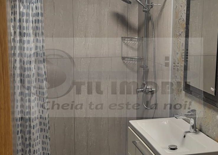 Apartament 2 Camere Nicolina - Poză 4