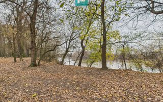 Teren pe malul Muresului- oportunitati multiple - Poză 25