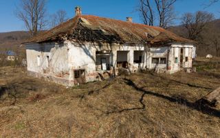 Conac nobiliar de secol XIX cu 8 camere în Maciova - Poză 23