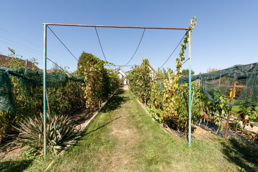 Casa visurilor cu livada roditoare si gradina amenajata - Poză 3