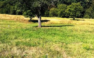 Teren extravilan , zona Sura Mare conform PUZ- case de vacantă !! - Poză 4