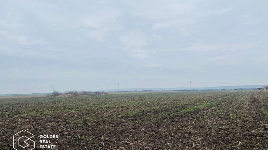 Teren, Intrare Recas, Drumul E70 - Poză 1