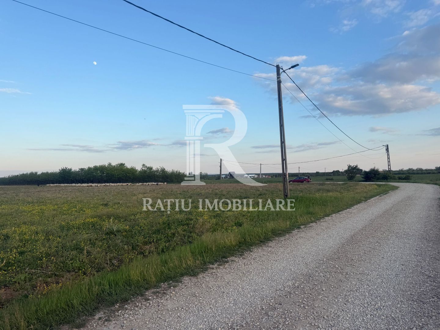 Teren extravilan | Păușa | Bihor - Poză 4