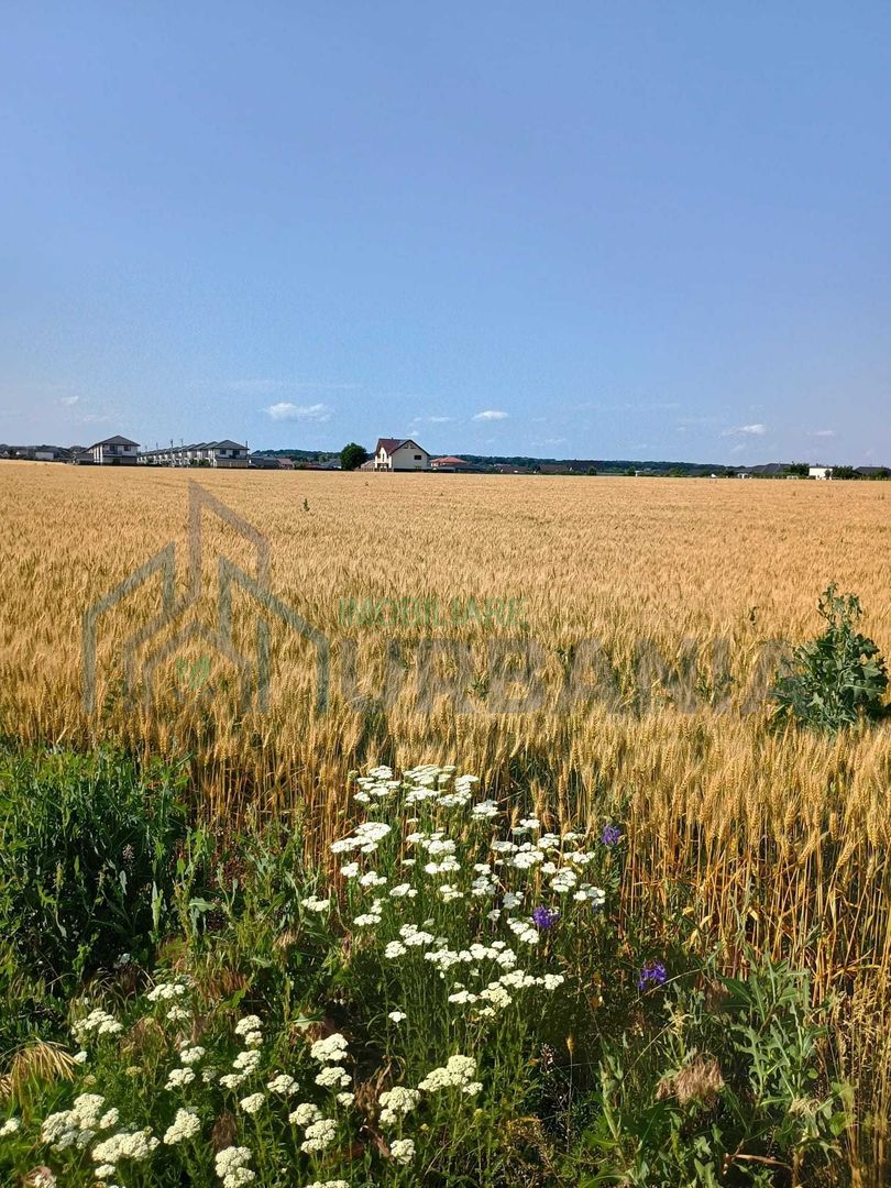 Teren extravilan de 5000 mp în Valea Ursului, vânzare - Poză 3