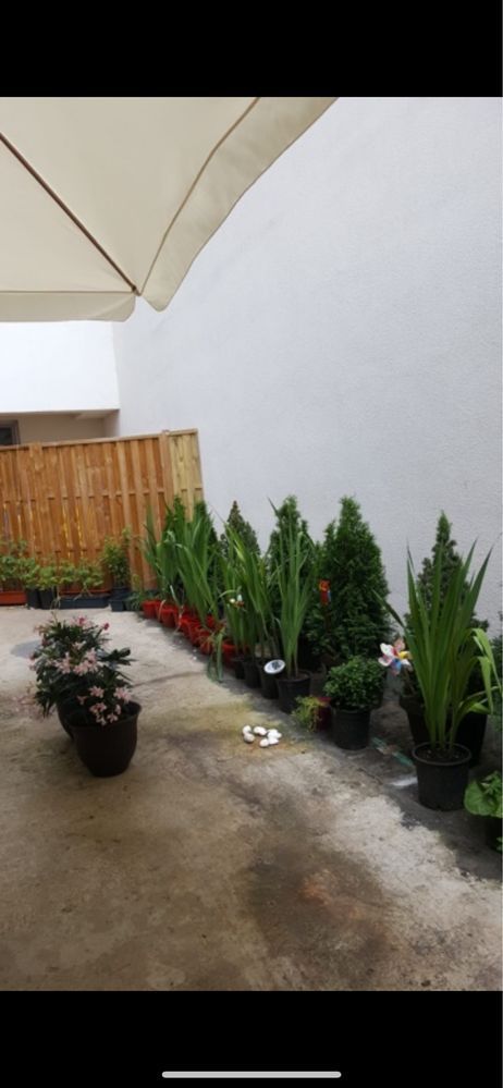 Vanzare apartament 3 camere stradal plus terasa, curte - Poză 5