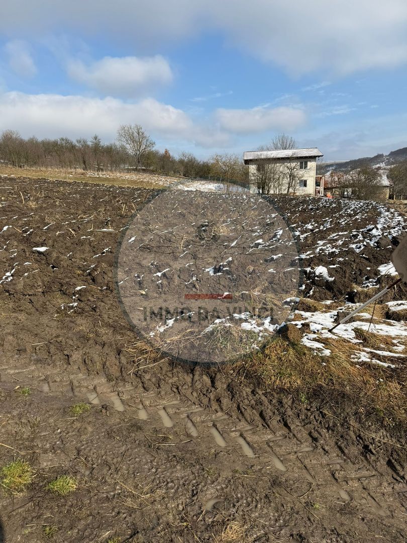 Teren Intravilan,Sanmartin CJ - Poză 2