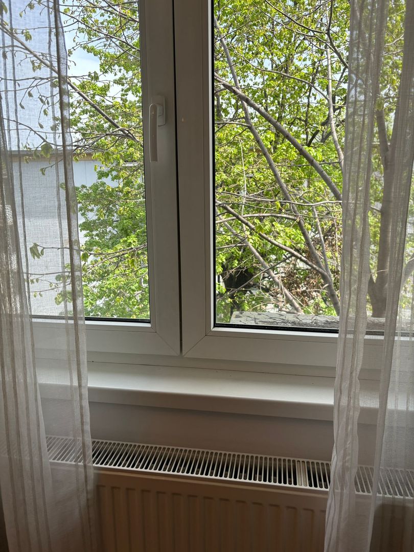 Garoniera - zona Primaverii - Poză 7