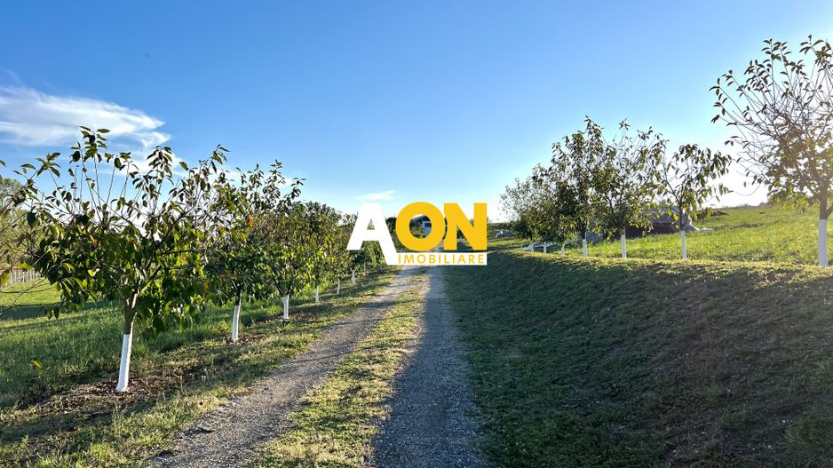 Ferma de vanzare cu 550MP utili si 27.500MP teren la asfalt - Poză 2