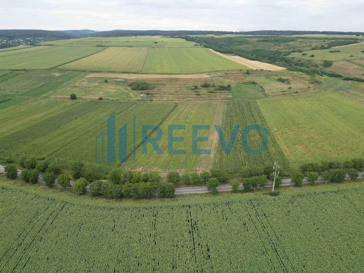 Teren de 4.400 mp Racova - Poză 5