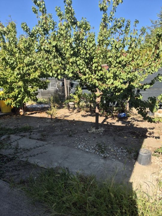 Casa individuala parter, Domnesti, zona Craitei-Foisorului. Investitie buna. - Poză 6