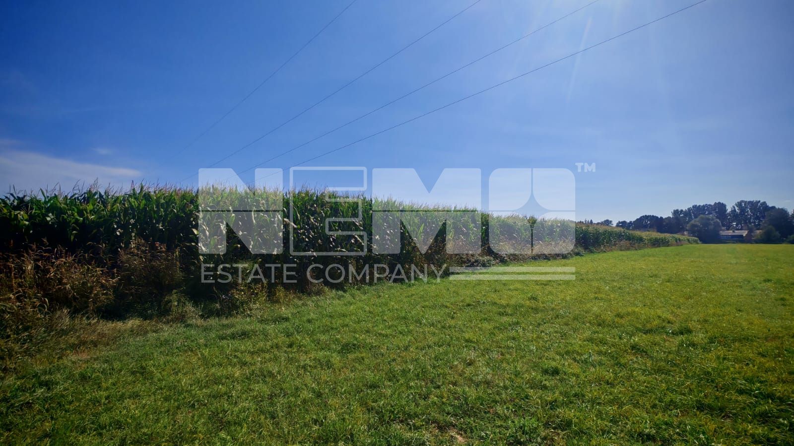 Teren generos | 45 Ari | Utilități în zonă | Deschidere la drum - Poză 4