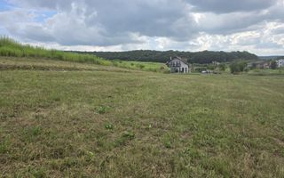 Teren intravilan 18.600 mp.cu deschidere de 250 m la drum - Poză 7