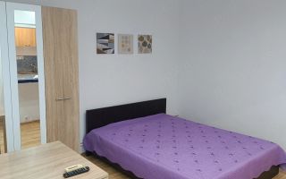 Apartament 1 camera Sagului etaj 1 - Poză 2