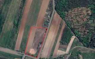 Teren de 11.000 mp cu casă și teren agricol | La 40 km de București | - Poză 14