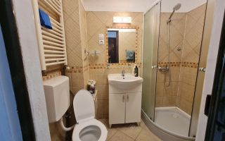 Apartament cu 1 cameră de închiriat în Podul de Fier, lângă stația de tramvai Pandurii - Poză 6