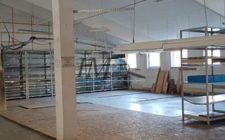 Hala de inchiriat Sebes - Poză 2