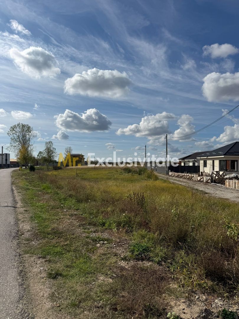 TEREN INTRAVILAN 3 LOTURI | 1.334 MP | BRADU | POTENȚIAL INVESTIȚIONAL - Poză 2