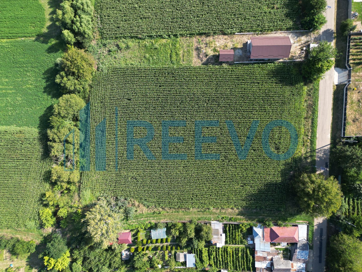 Teren intravilan de vânzare, Sat Bogdănști, Com. Traian - Poză 11