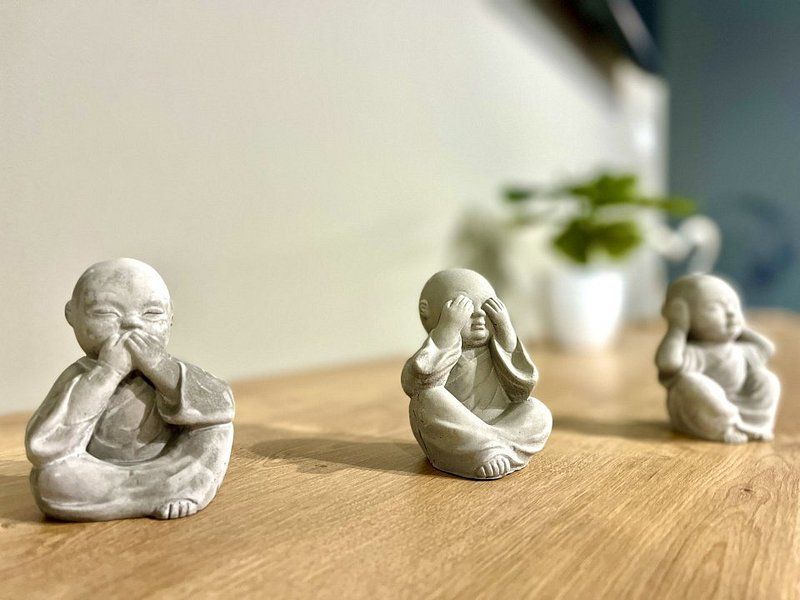 Apartament  3 camere cu grădină și dotări moderne, în zona Bălcescu - Poză 18