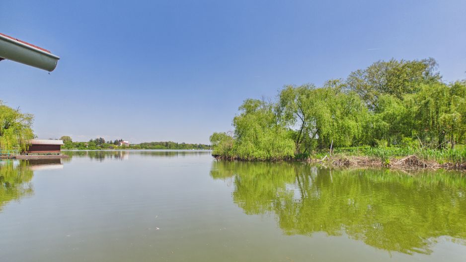 Proprietate unica, vila si 8000 mp pe malul lacului Snagov - Poză 4