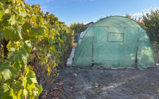 Teren ideal pentru constructie noua-800 mp cu front 22 ml - Poză 3