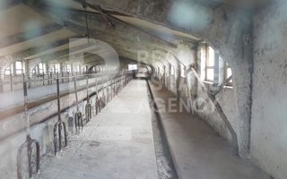 Vânzare fermă, 10,48 ha, comuna Petreni, Drochia - Poză 6