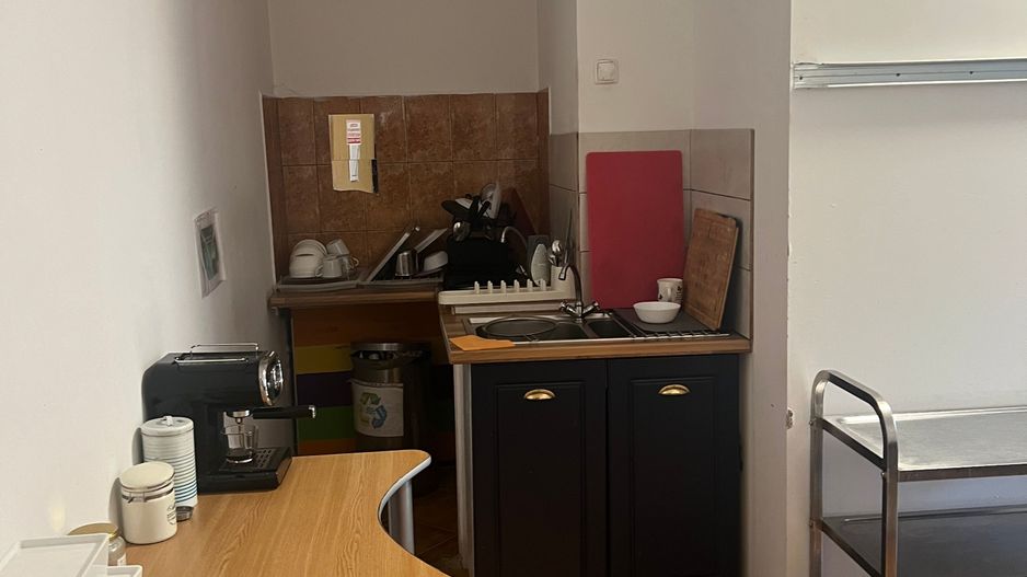 Imobil multifuncțional, 450 mp utili, teren 640 mp, Torontalului - Poză 20