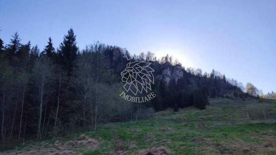 Teren intravilan 3200mp-parcelabil-panorama-Colibita-EXCULSIV - Poză 3