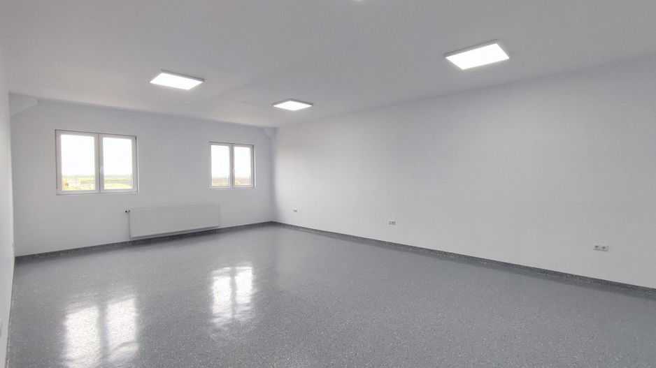 Inchiriere Spații de Birouri/Producție - Str. Uzinei - Carei - Comision 0% - Poză 4