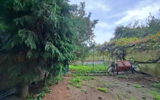 Casa 3 dormitoare, curte 60mp, parcare, langa UMF! - Poză 4