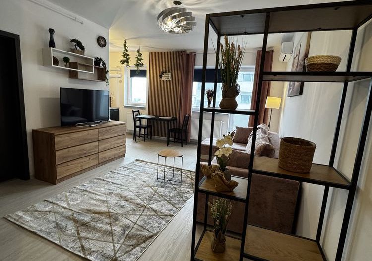 Studio Modern Panorama Lacul Morii - Poză 4