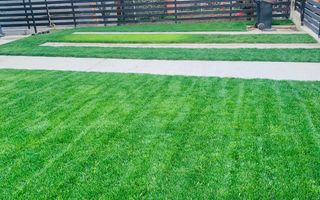 Vila deosebita,zona Hlincea - Poză 5