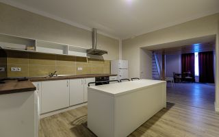 Apartament de închiriat tip loft - Poză 4