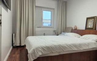 Apartament cu 3 camere, mobilat, Petre ispirescu - Calea Rahovei - Poză 8