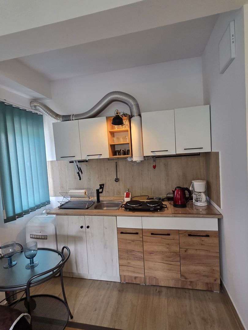 Garsoniera v a v parc Mogoșoaia - Poză 7