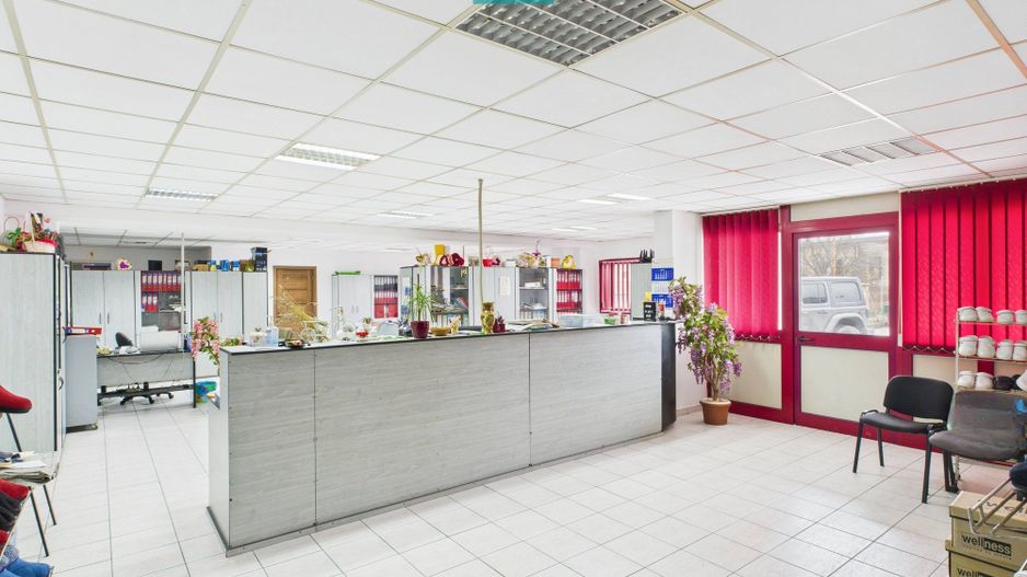Hală de producție, cu birouri și teren, în Sebiș - Poză 7