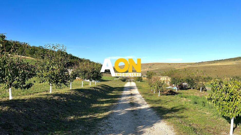 Ferma de vanzare cu 550MP utili si 27.500MP teren la asfalt - Poză 29