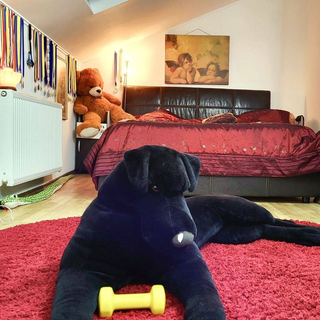 Vila-Timisoara -aleea Ghirodei-comision zero - Poză 3