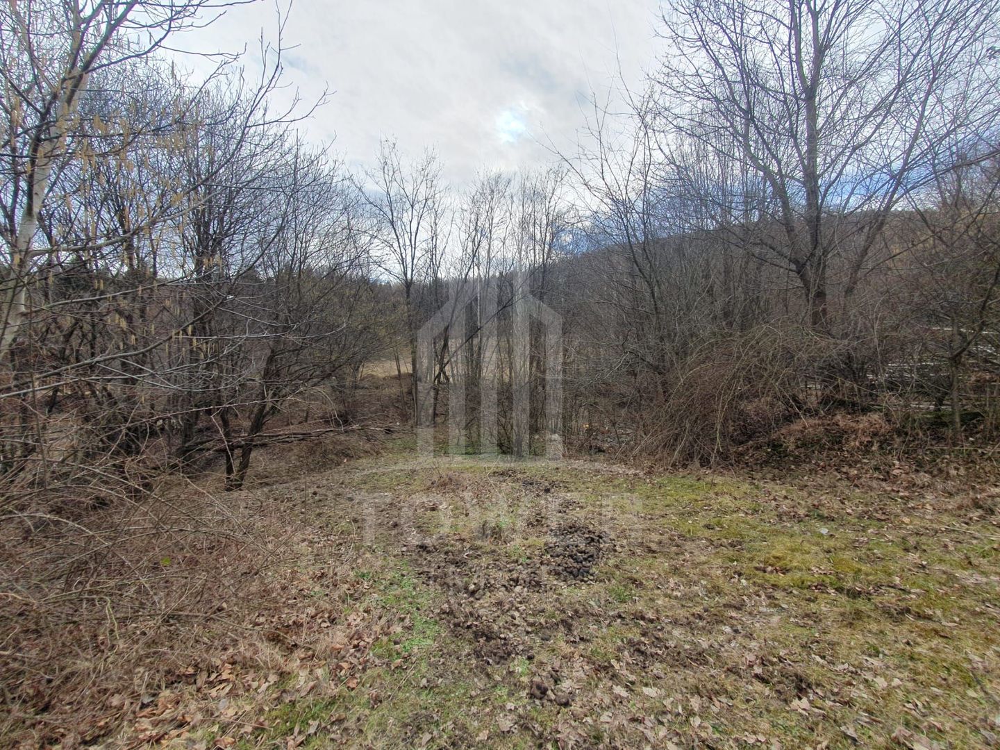 Teren Intravilan 2.938 mp | Tocile - Poză 11