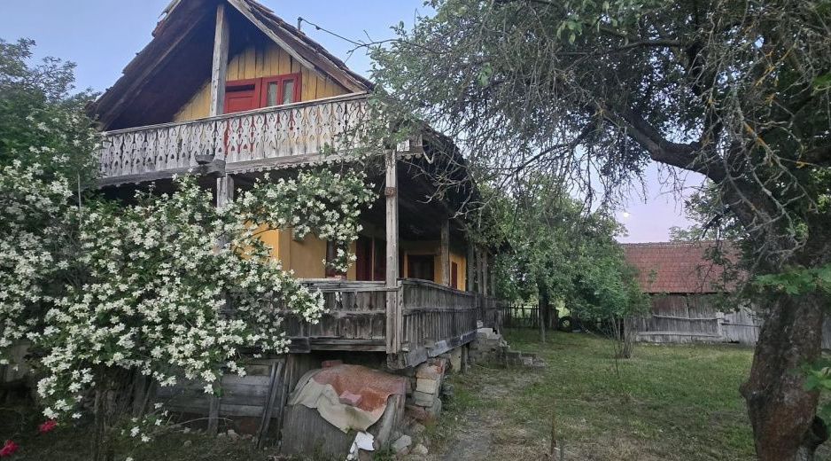 Casă cu 7.769 mp teren și pădure | Budieni | 53.000€ - Poză 12
