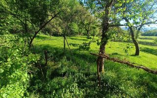 Descoperă căsuța ta de vis la poalele Munților Apuseni - Poză 12