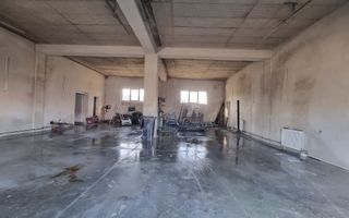 Casa de Lux 6 camere-480mp-teren 1100mp-service tinichigerie-Arcalia - Poză 8