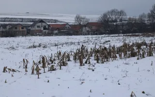 Fermă agricola funcțională de vanzare I Vurpar - Poză 29