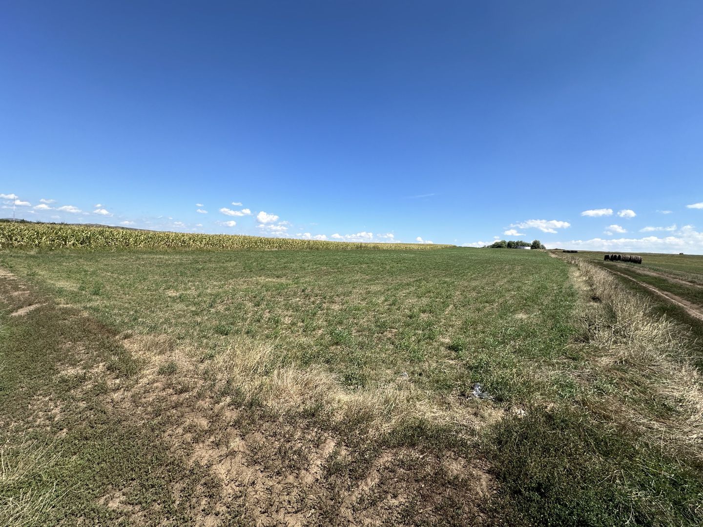 Teren Intravilan | Jucu de Mijloc | Investitie | 8202 mp - Poză 3