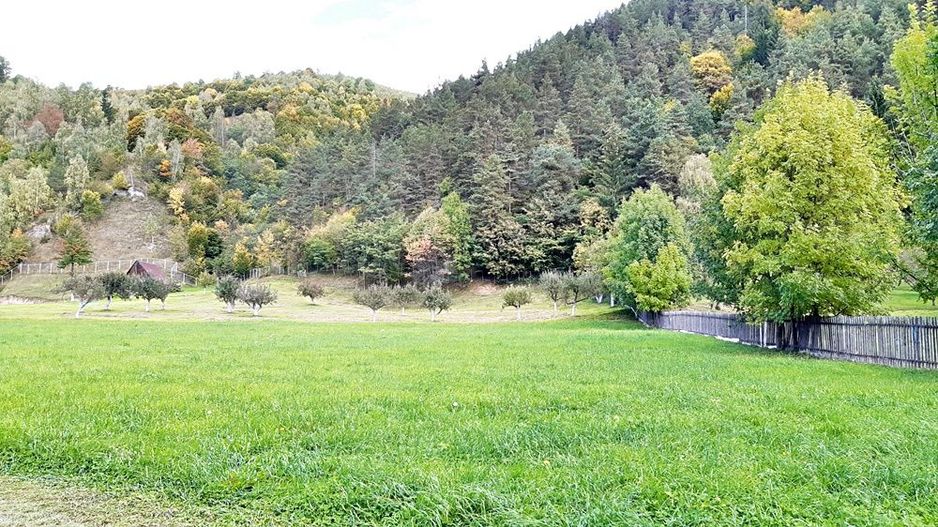 Teren superb de 16240mp, parcelabil, in Bran la intrare in Moeciu de Jos - Poză 15